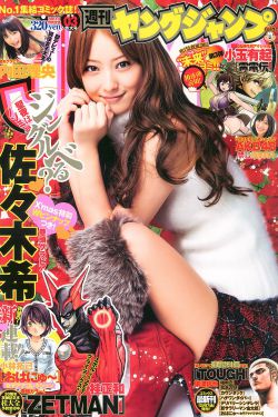 完美世界全集免费观看完整版高清